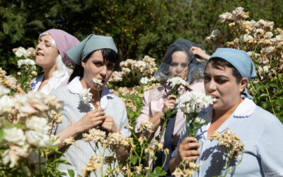 Informe de una Mujer que Arde